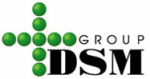 DSM-Group-logo