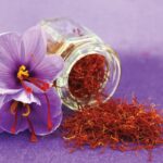 black-violet-saffron
